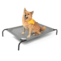 Coolaroo Elevated Pet Bed for Dogs and Cats review