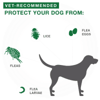 Advantage II Flea Treatment for Extra Large Dogs Product Photo 2