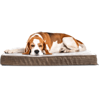 Milliard Quilted Padded Orthopedic Dog Bed review