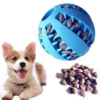 Feixun CanineChamp Dental Interactive Toy Ball Product Photo 1
