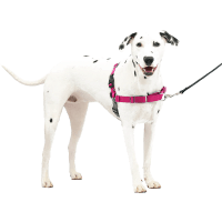 Petsafe Gentle Walk Harness for Dogs review