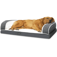 Pecute Orthopedic Dog Sofa Memory Foam Bed review
