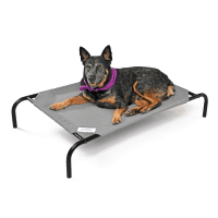 Coolaroo Stainless Steel Elevated Pet Bed review