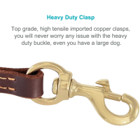 Fairwin Heavy Duty Leather Dog Training Leash Product Photo 1