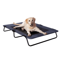 Pet Gear Lifestyle Cooling Mesh Pet Cot review