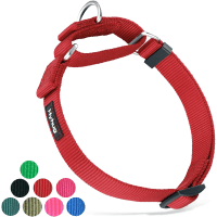 Hyhug Martingale NonEscape Dog Collar review
