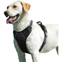 Eagloo Adjustable No Pull Soft Padded Dog Harness review