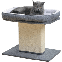 Catry Minimalist Cat Bed and Scratching Post review