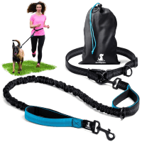 SparklyPets Reflective Hands-Free Dog Leash review