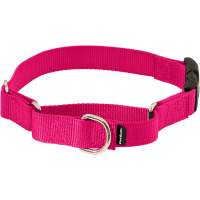 PetSafe Martingale Collar with Quick Snap Buckle review