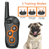 MAISOIE Waterproof Training Collar with Remote Product Photo 1