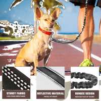 Correa elástica AUROTH para perros de razas grandes Product Photo 1