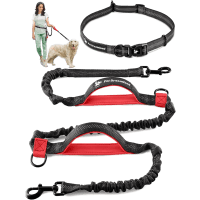 Pet Dreamland Hands-Free Bungee Dog Leash review