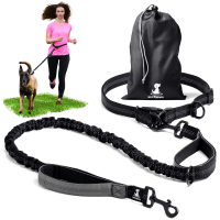 SparklyPets Hands-Free Leash and Harness Set Product Photo 0