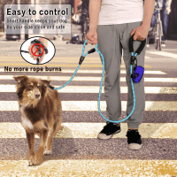 Plutus Pet Reflective Double Handle Dog Leash Product Photo 2