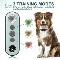 Lu&Ba Waterproof Dog Training Collar with Remote Product Photo 1