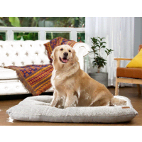 AcornPets Washable Fleece Suede XL Dog Cat Bed Product Photo 2