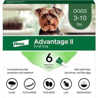 Bayer Advantage II Small Dog Flea Drop review