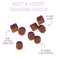 Cloud Star Chewy Liver Tricky Trainers Dog Treats Product Photo 2