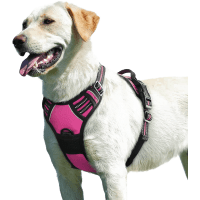 Eagloo Adjustable Easy Control Pet Harness review