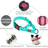 Haapaw Quick Release Reflective Martingale Collar Product Photo 1