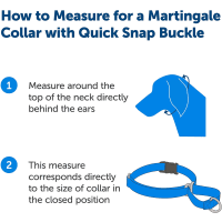 PetSafe Martingale Collar with Quick Snap Buckle Product Photo 2