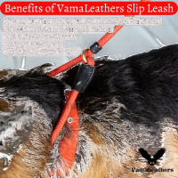 Vama Leathers Adjustable British Style Slip Leash Product Photo 2