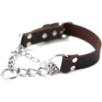 Mighty Paw Leather Martingale Training Dog Collar review
