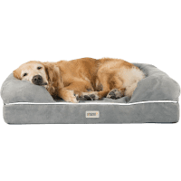 Friends Forever Premium Orthopedic Dog Bed Sofa review