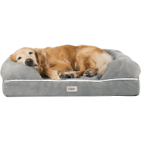 Forever Friends Orthopedic Memory Foam Dog Bed Product Photo 0