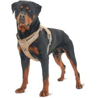 Auroth Tactical No Pull Pet Harness Product Photo 0