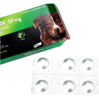 Capstar Fast Flea Treatment for Dogs and Cats Product Photo 1