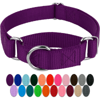 Country Brook Design Martingale Nylon Dog Collar review