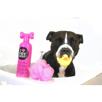 Pet Head Life's An Itch Soothing Shampoo Product Photo 2