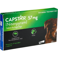 Capstar Fast Flea Treatment for Dogs and Cats review