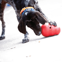 KONG Jouet pour Chien Wobbler Product Photo 1