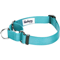 Blueberry Pet Essentials Training Dog Collar Product Photo 2