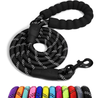 Taglory Padded Handle Reflective Dog Leash review