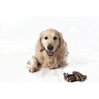 Dragonfly Products Natural Pizzle Dog Treat Chews Product Photo 2