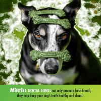 Minties VetIQ Dental Chews para perros medianos y grandes Product Photo 2