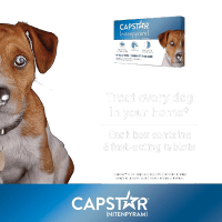 Capstar Fast Acting Oral Flea Treatment for Pets Product Photo 2