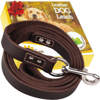 ADITYNA Leather Leash for Medium and Large Dogs Product Photo 0