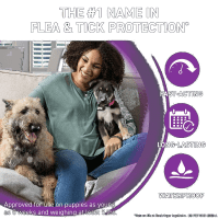 Frontline Plus Flea and Tick Topical for Dogs Product Photo 1