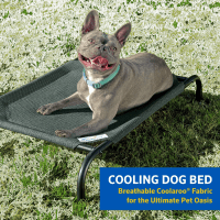 Coolaroo Original Elevated Cooling Dog Bed Product Photo 1