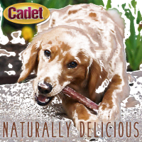 Palitos de Bully de Cadete 100% Pizzle de res para perros Product Photo 2