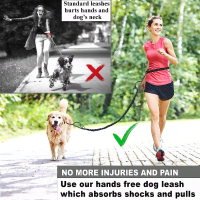 CHUNKY PAW Dual Handle Reflective Dog Leash Product Photo 1