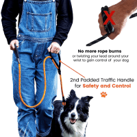 Sweetie Reflective 2-Handle Rope Dog Lead Product Photo 2