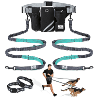 SHINE HAI Retractable HandsFree Dual Dog Leash review