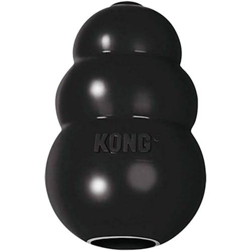 KONG Extreme Dog Toy Product Thumbnail 0