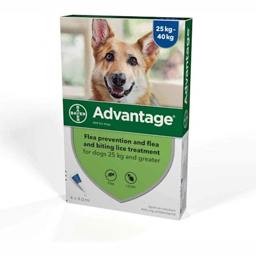 Advantage Spot On Extra Large Dog Flea Treatment Product Thumbnail 0